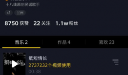 抖音短视频用不了,揭秘原因及解决方案