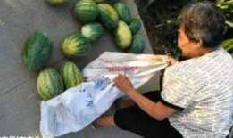 安国吃瓜最新事件爆料,揭秘背后惊人真相