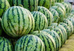 全国各地吃瓜爆料图片,各地特色吃瓜瞬间大盘点