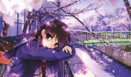 樱花通信动画短视频,揭秘樱花通信动画短视频的魅力