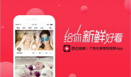 今日头条短视频,揭秘网红美食背后的秘密